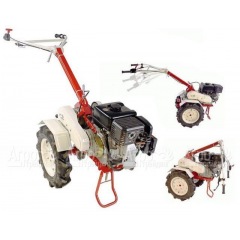 Мотоблок Фаворит МБ с двигателем Robin-Subaru EX21D 7,0 л.с. (Фрезы в комплекте) в Йошкар-Оле