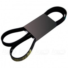 Pubert 0306030002 Ремень привода для ECO, ELITE, PRIMO (с реверсом) 9168 в Йошкар-Оле