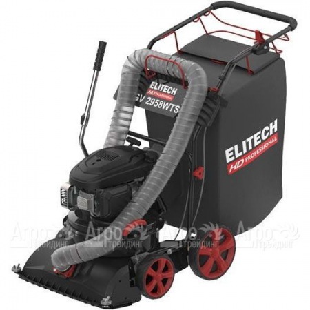 Пылесос садовый бензиновый Elitech HD GV 2958WTS (E1608.008.00) в Йошкар-Оле