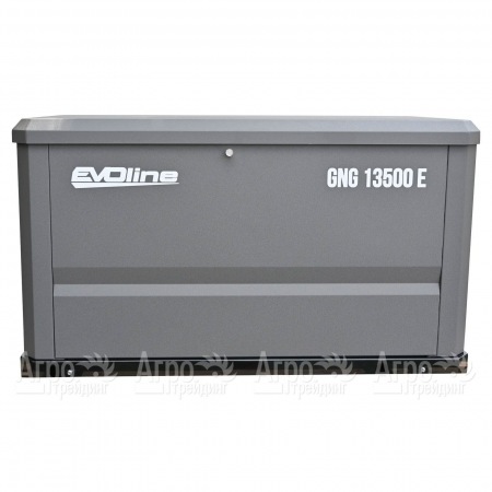 Газовый генератор EVOline GNG 13500 E 12 кВт в Йошкар-Оле