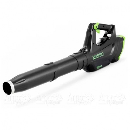 Воздуходувка аккумуляторная GreenWorks GC82BLK5  в Йошкар-Оле