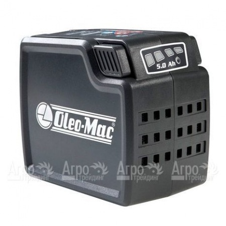 Аккумулятор Oleo-Mac 5 Ач 40 В  в Йошкар-Оле