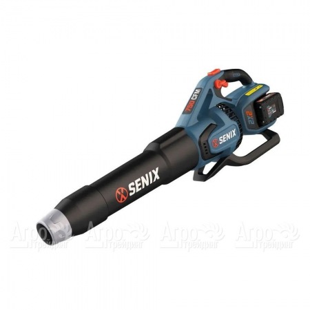 Воздуходувка аккумуляторная Senix BLAX2-M2-EU в Йошкар-Оле
