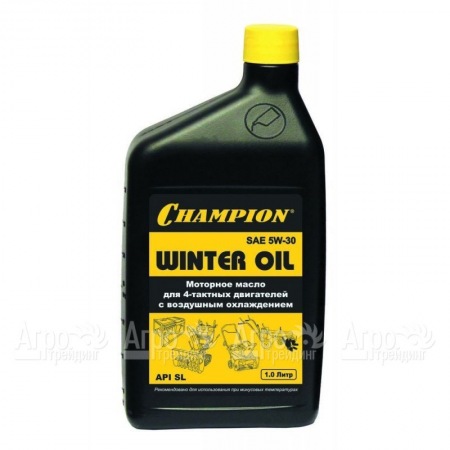 Масло минеральное Champion SAE 5W30 1 л для 4-х тактных двигателей в Йошкар-Оле