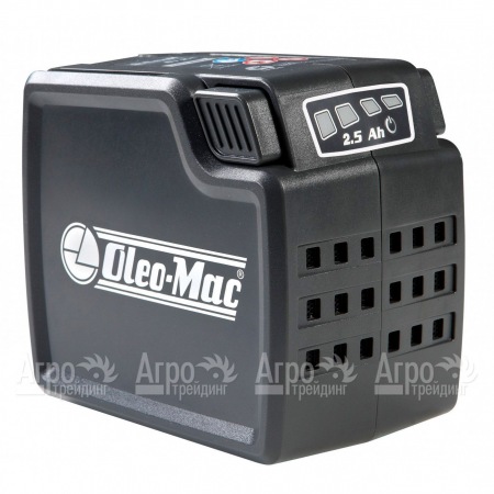 Аккумулятор Oleo-Mac 2.5 Ач 40 В  в Йошкар-Оле