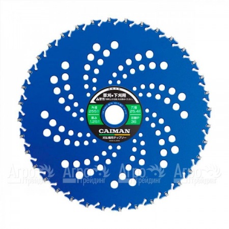 Диск японский 10" 255x25x36P (против камней) для триммеров Caiman в Йошкар-Оле