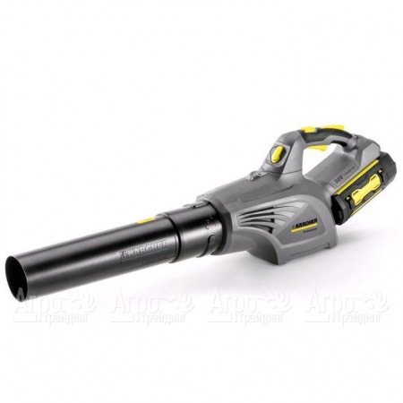 Воздуходувка аккумуляторная Karcher LB 850 Bp в Йошкар-Оле