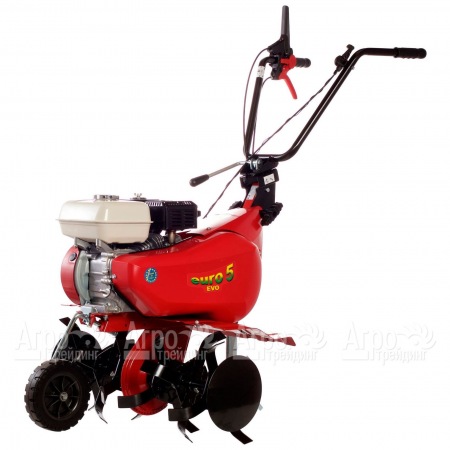 Культиватор Eurosystems Euro-5 EVO RM S/R Honda GX160 в Йошкар-Оле