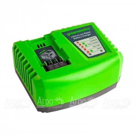 Быстрое зарядное устройство Greenworks G40UC4  в Йошкар-Оле