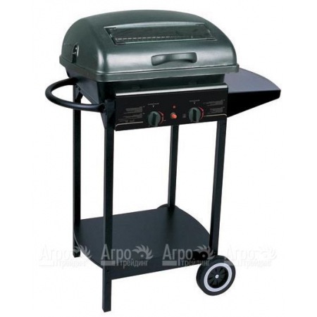 Гриль-барбекю газовый Green Glade RH-2210A в Йошкар-Оле