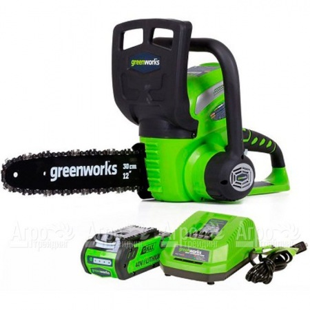 Аккумуляторная пила GreenWorks G40CS30II-12" 2 Ач в Йошкар-Оле