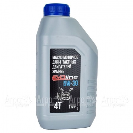 Масло моторное EVOline SAE 5W-30 API SN/CF 1 л для 4-х тактных двигателей в Йошкар-Оле