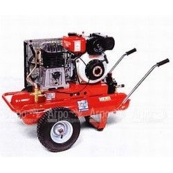 Компрессор дизельный Agri 55 Diesel в Йошкар-Оле