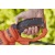 Электрический кусторез (электрокусторез) Black+Decker BEHTS551 в Йошкар-Оле
