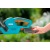 Аккумуляторный кусторез Gardena EasyCut 42 Accu в Йошкар-Оле