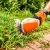 Аккумуляторные ножницы для кустарников Stihl HSA 26 SET c АКБ AS2 и ЗУ AL1 в Йошкар-Оле