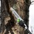 Высоторез аккумуляторный GreenWorks PS102T (без аккумулятора и зарядного устройства) в Йошкар-Оле