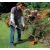 Бензокоса (бензиновый триммер) Stihl FS 38 с дополнительной шпулей в Йошкар-Оле