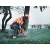 Бензопила Husqvarna 565-18" в Йошкар-Оле