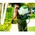 Аккумуляторный опрыскиватель GreenWorks GW-BPS60 (без аккумулятора и зарядного устройства) в Йошкар-Оле