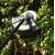 Аккумуляторный триммер DEKO DKTR40V PRO в Йошкар-Оле