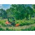 Садовый райдер Husqvarna P525DX с кабиной в Йошкар-Оле