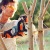 Аккумуляторная пила Stihl MSA 120 C-BQ-12 в Йошкар-Оле