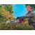 Аккумуляторный кусторез Einhell PXC GE-CH 36/62 Li-Solo (без аккумулятора и зарядного устройства) в Йошкар-Оле