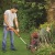 Аккумуляторный триммер Black+Decker ST1823 (2 аккумулятора) в Йошкар-Оле