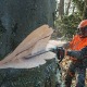 Бензопила Stihl MS 661-28&quot; в Йошкар-Оле