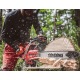 Бензопила Shindaiwa 501SX в Йошкар-Оле