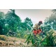 Бензопила Husqvarna 455 Rancher-15&quot; в Йошкар-Оле