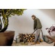 Хозяйственный пылесос Karcher WD 3 S V-19/4/20 SuctionBrushKit в Йошкар-Оле