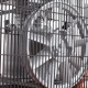 Компрессор поршневой Patriot Remeza СБ 4/С-100 LH 20 A в Йошкар-Оле