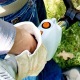 Бензокоса (бензиновый триммер) Stihl FS 45 C-E в Йошкар-Оле