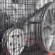 Компрессор поршневой Patriot Remeza СБ 4/С-100 LB 75 в Йошкар-Оле