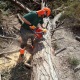 Бензопила Efco MT 6500-18&quot; в Йошкар-Оле