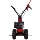 Бензиновая сенокосилка Eurosystems Minieffe 502 RM B&amp;S 625EXi в Йошкар-Оле