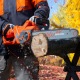 Пила цепная (электропила) Daewoo DACS 2500E-16 в Йошкар-Оле