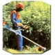 Бензокоса (бензиновый триммер) Stihl FS 55 Autocut в Йошкар-Оле