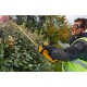 Аккумуляторный кусторез Dewalt DCM563P1 в Йошкар-Оле
