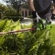 Аккумуляторный кусторез GreenWorks G-Max G40HT61K2 40V 61 см (без батареи и зарядного устройства) в Йошкар-Оле