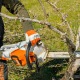 Аккумуляторная пила Stihl MSA 220 C-BQ-14&quot; (без аккумулятора и зарядного устройства) в Йошкар-Оле