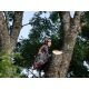Бензопила Husqvarna 545 Mark II-15&quot; в Йошкар-Оле
